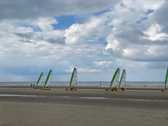 Depannemarkt De Panne Eksteriør billede